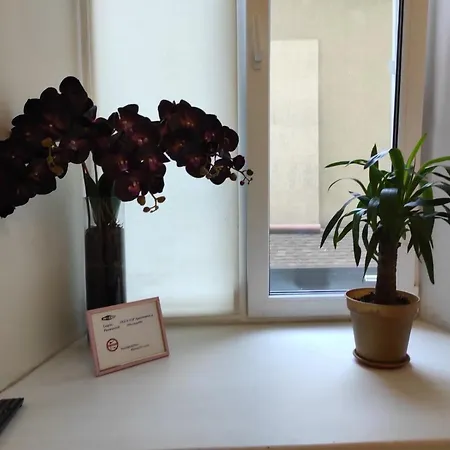 Gogol Street Luxury Apartment *